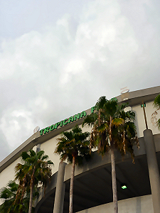 BallPark-1